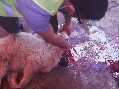 WhatsApp Image 2024-12-01 at 12.01.59 AM