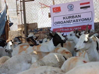 WhatsApp Image 2024-12-26 at 10.49.39