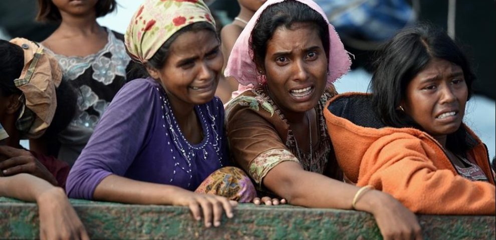 WhatsApp Image 2026-01-09 at 12.23.23