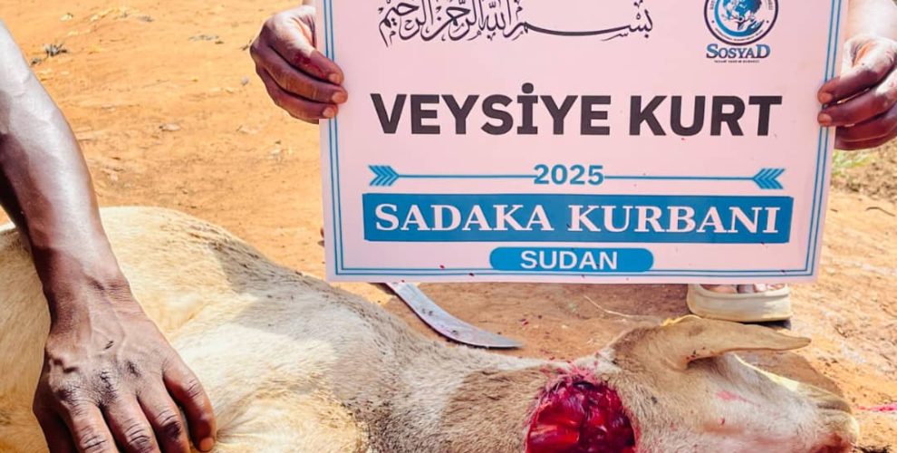 WhatsApp Image 2026-01-11 at 13.21.08