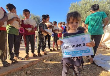 photo_10_2025-11-18_12-01-20