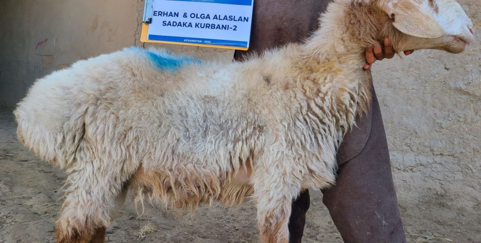 photo_21_2025-11-10_12-21-38