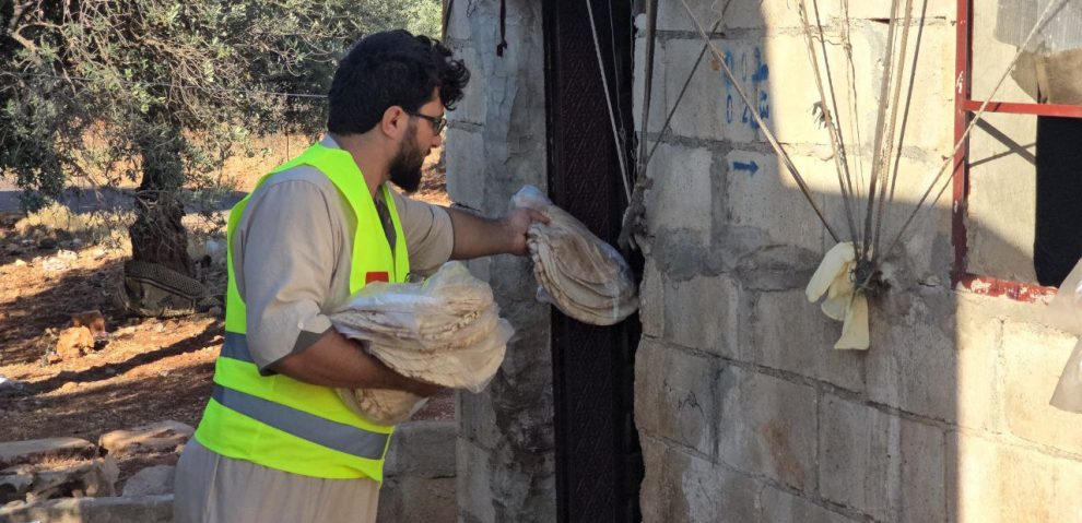 photo_23_2025-11-18_12-01-20