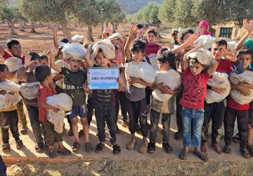 photo_28_2025-11-18_12-01-20