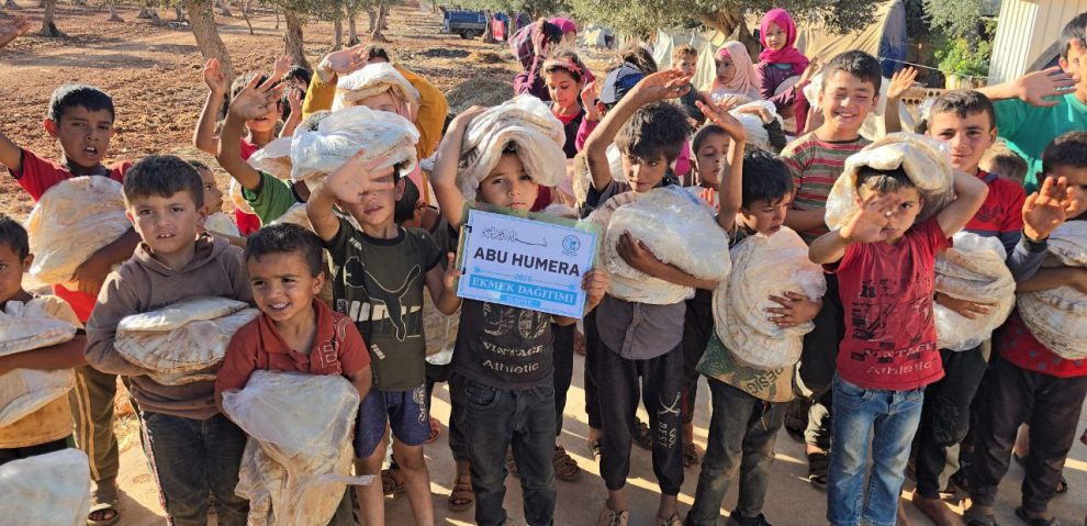 photo_29_2025-11-18_12-01-20