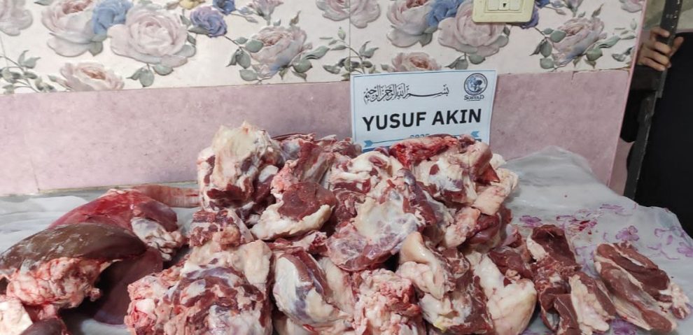 photo_2_2025-11-10_12-23-42