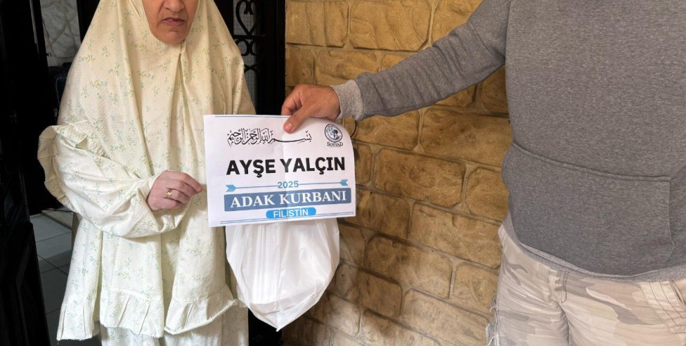 photo_2_2025-11-10_14-36-42