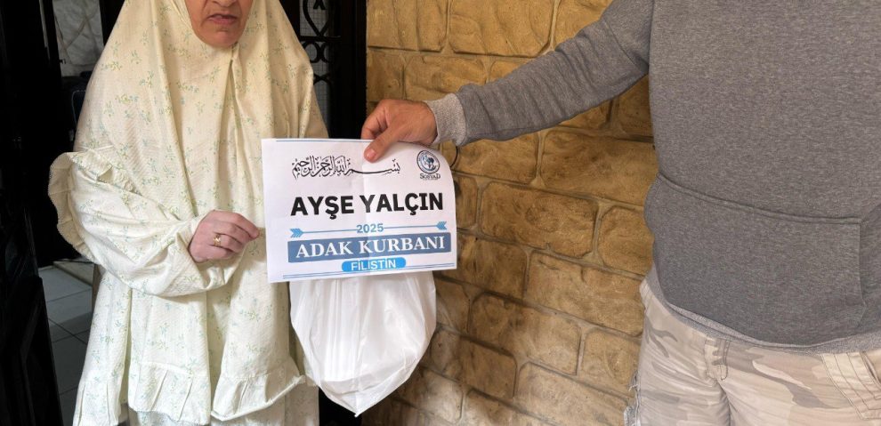 photo_2_2025-11-10_14-36-42