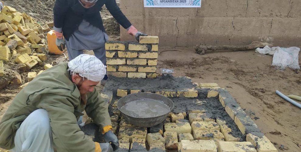 photo_35_2025-11-10_13-17-23