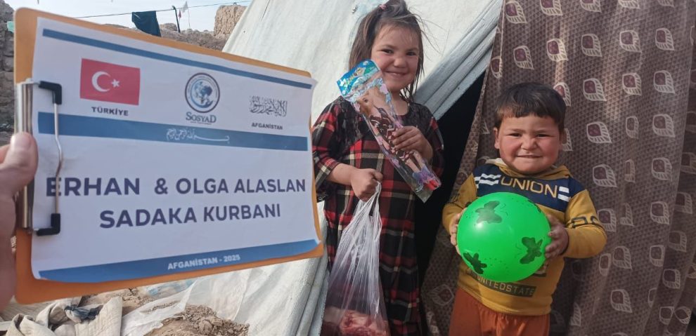 photo_3_2025-11-10_12-01-23