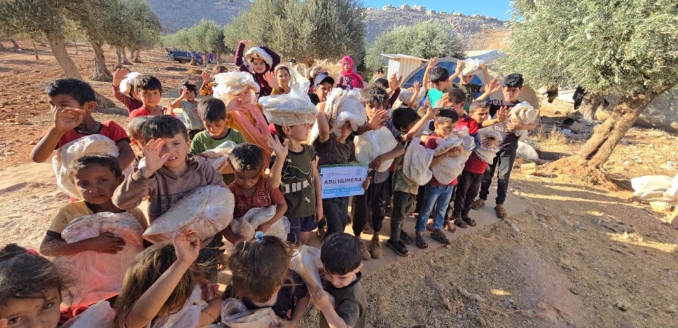 photo_3_2025-11-18_12-01-20