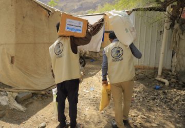 photo_43_2025-11-18_11-47-14