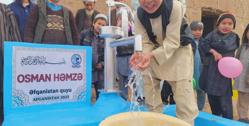 photo_4_2025-11-10_13-17-23