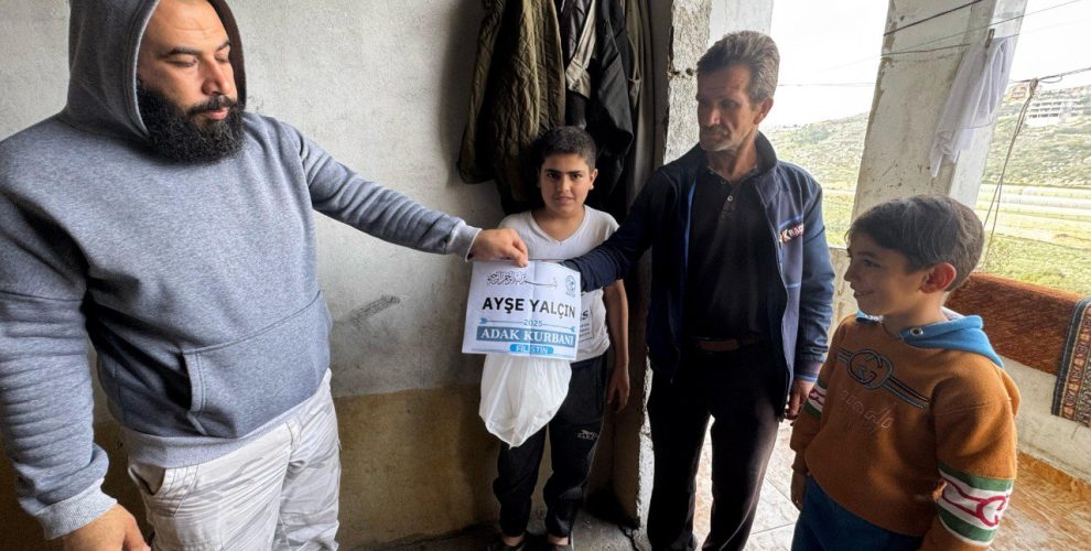 photo_5_2025-11-10_14-36-42