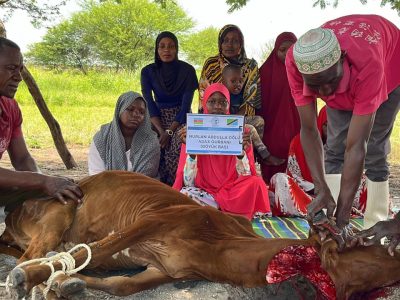 photo_6_2025-11-10_11-39-53