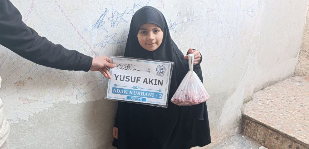 photo_8_2025-11-10_11-59-59